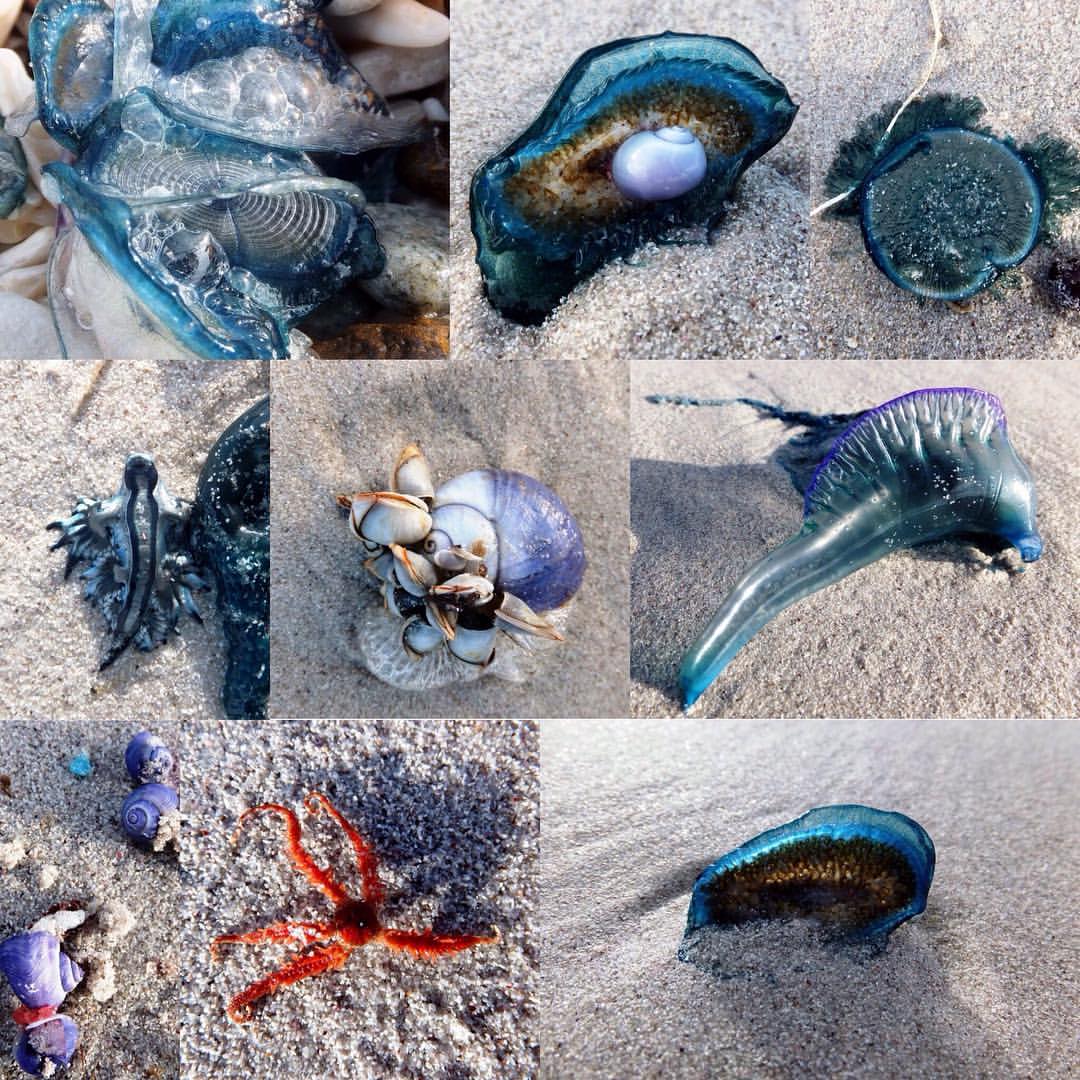 12119952_10153774897952069_8532084997337825577_o