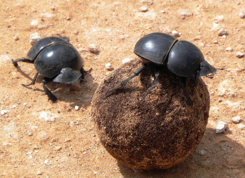 1383910_10151989533477069_2005898468_n